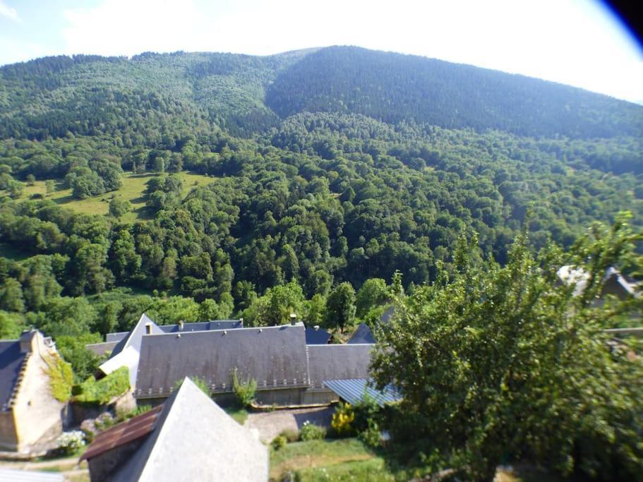 Maison Familiale Pour 8 Saint-Aventin Exterior foto